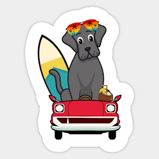 Funny Big Dog is driving to the beach Sticker